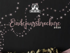 Eindejaarsbrochure 2025-1
